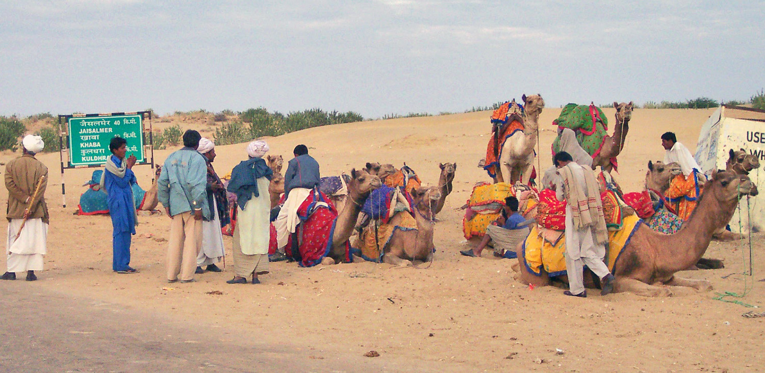 Wüste Thar Rajasthan