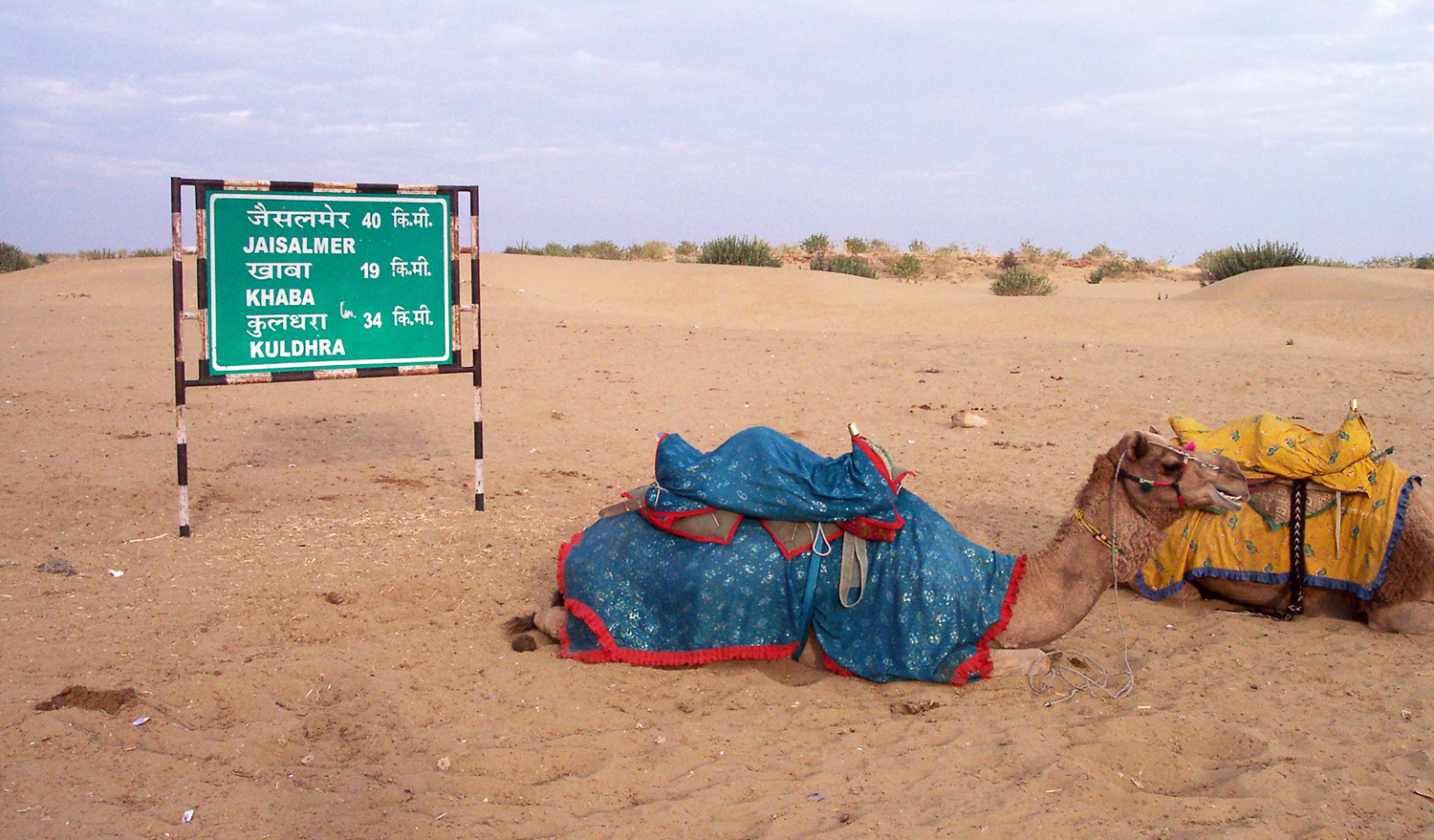 Wüste Thar Rajasthan
