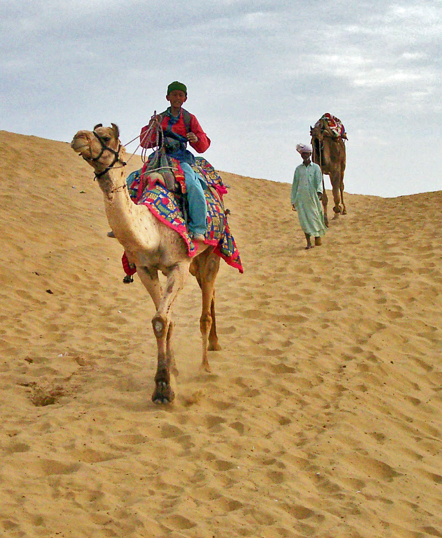 Kamelreise in Indien
