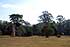 Ankor Wat Kambodscha