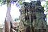 Ankor Wat Kambodscha