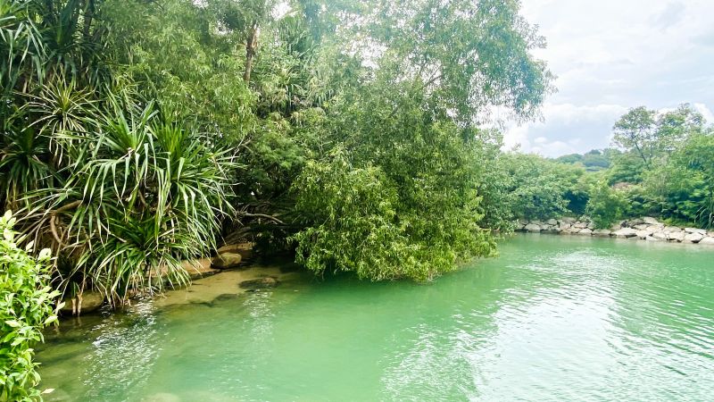 Natur auf Sentosa