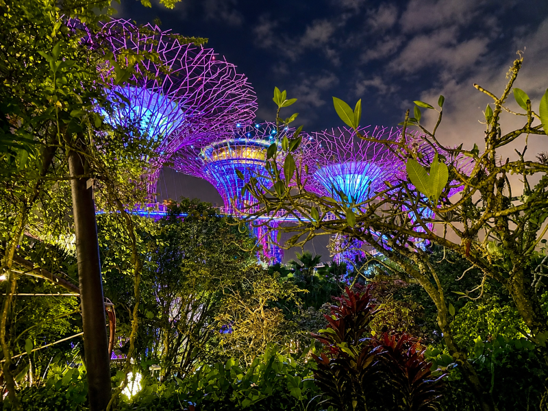 Supertrees Singapur