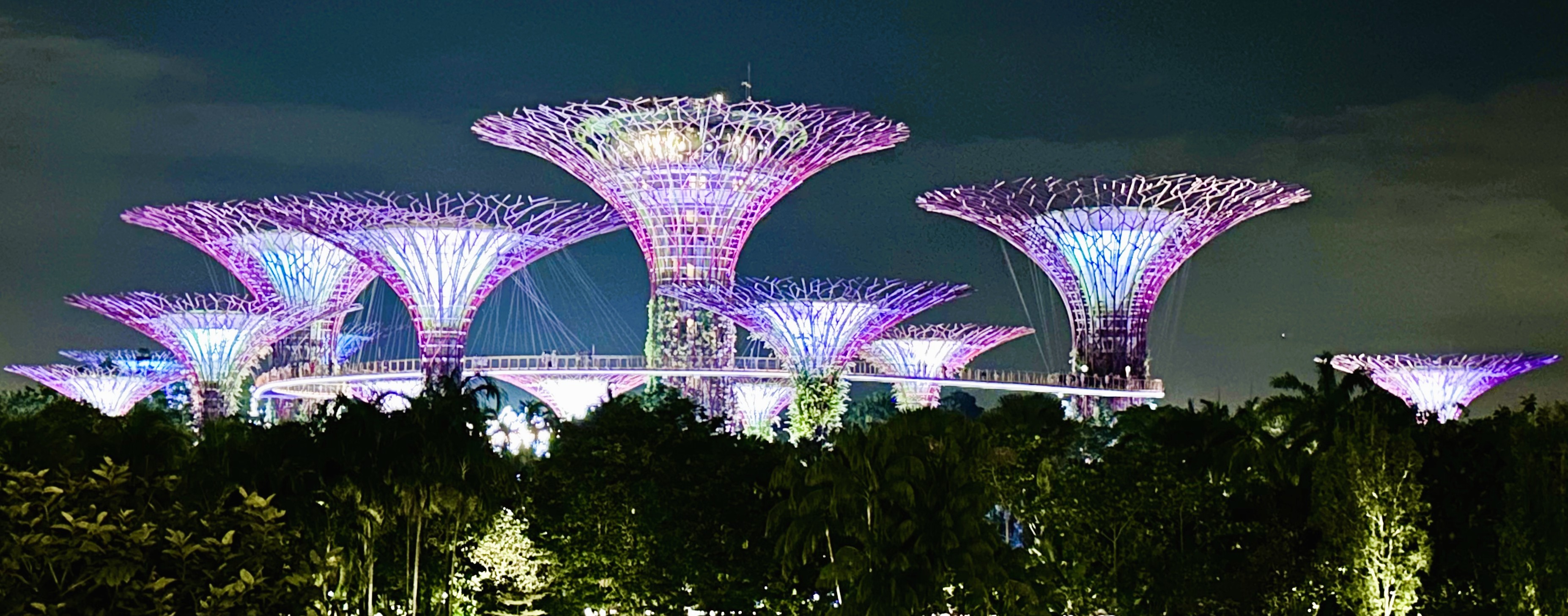 Supertrees Singapur - Asienforever