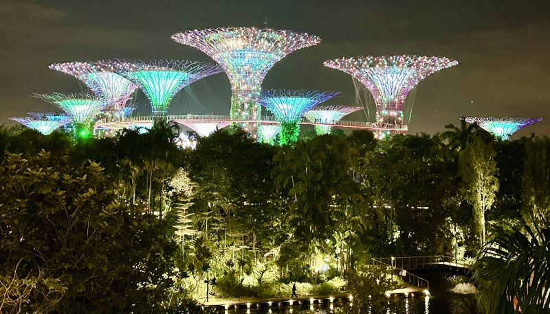 Supertrees in Singapur