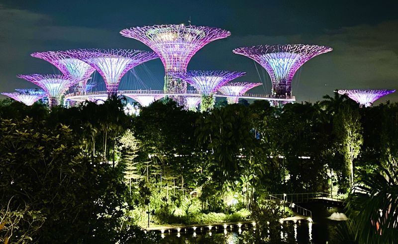 Supertrees Singapur