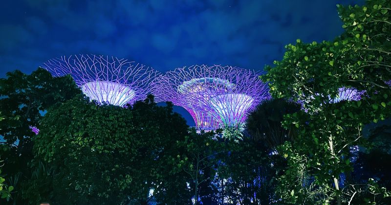 Supertrees Singapur Gardens by the Bay