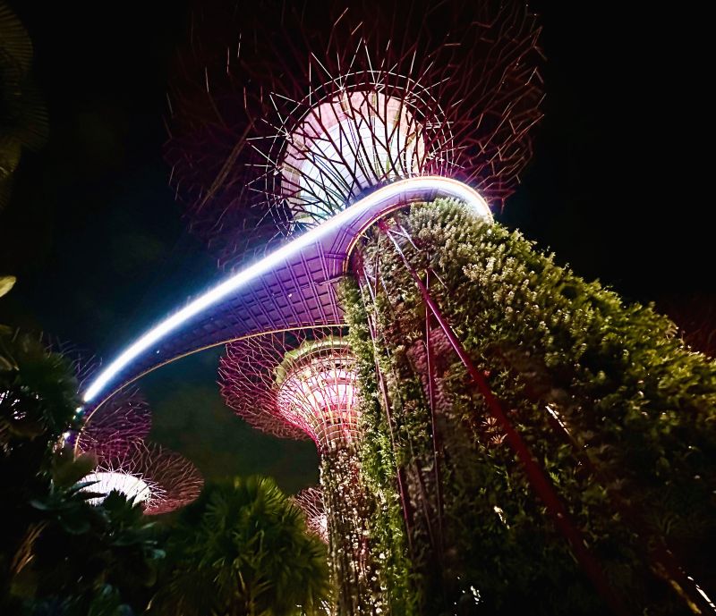 Hängebrücke Aussichtsplattform Supertrees Singapur