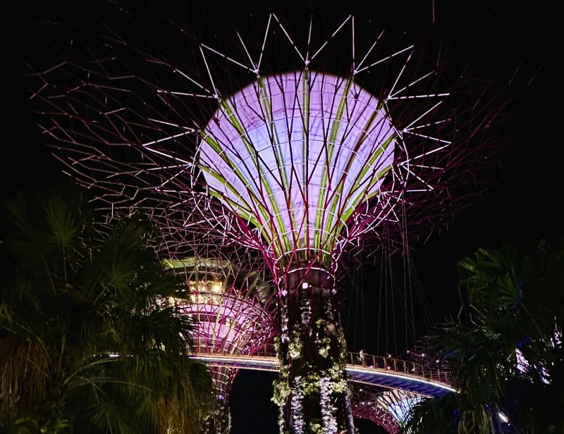 Foto Supertrees Singapur