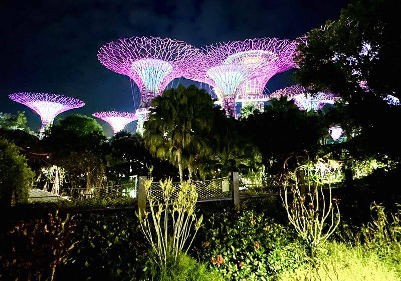 Supertrees Singapur