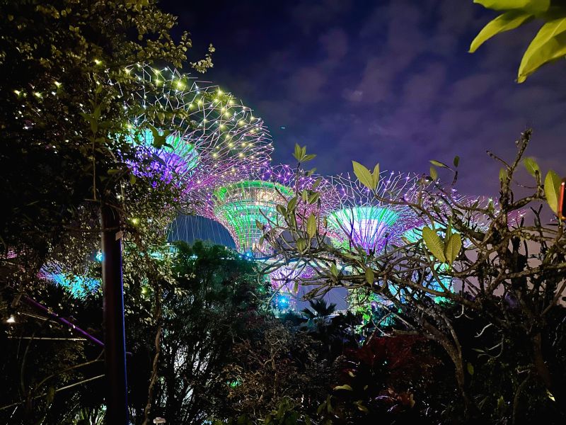 Supertrees Singapur