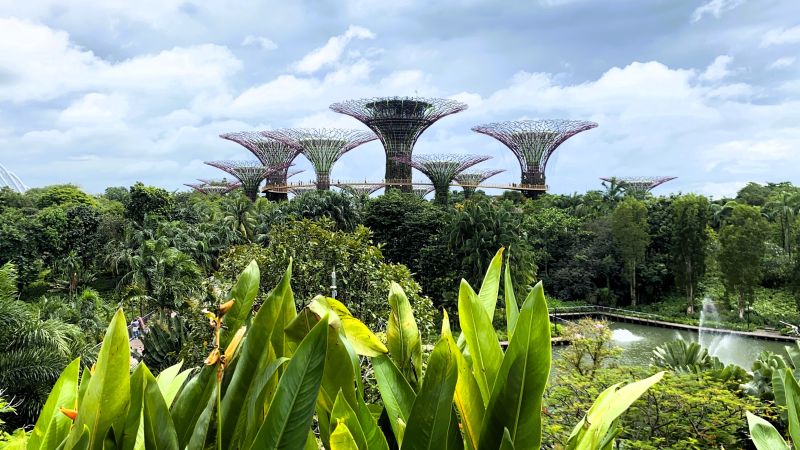 Supertrees bei Tag in Singapur