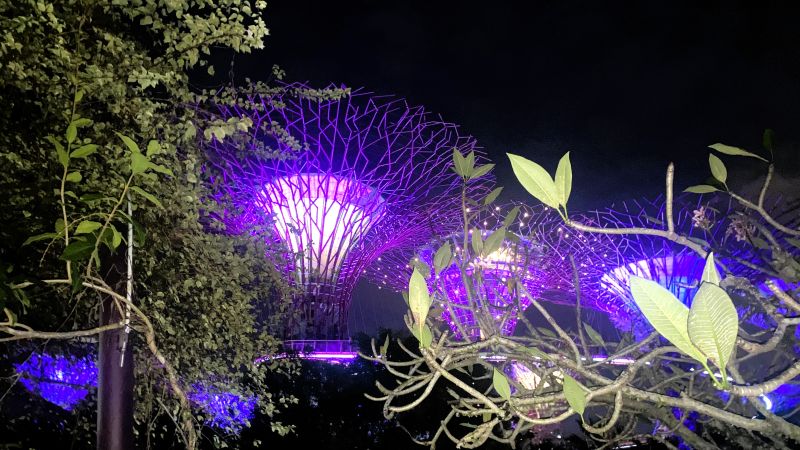 Supertrees Singapur bei Nacht