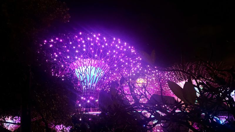 Supertrees Singapur