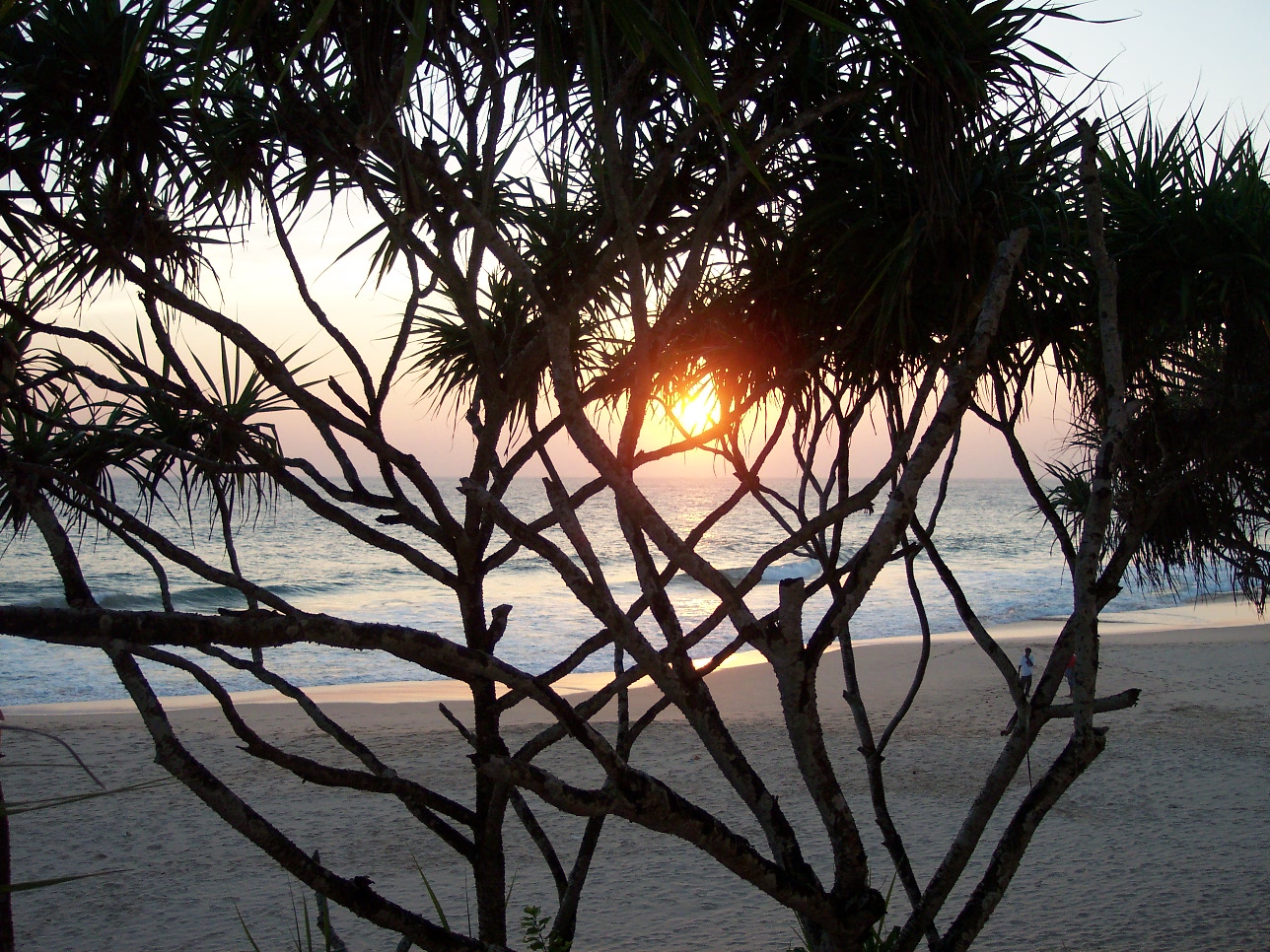 Strand Kogalla Sri Lanka