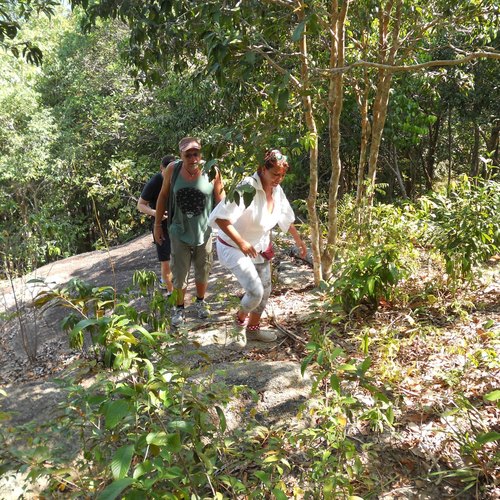 Dschungelwanderung zum Bottle Beach Koh Phangan