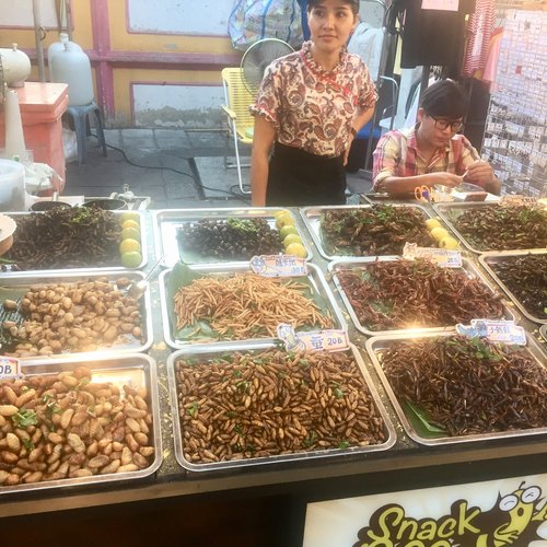 Insekten essen in Tongsala. Der Hauptstadt von Koh Phangan