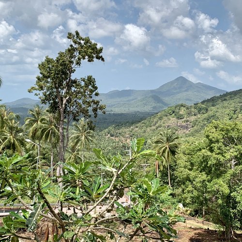 Inselinnere und Berge auf Koh Phangan