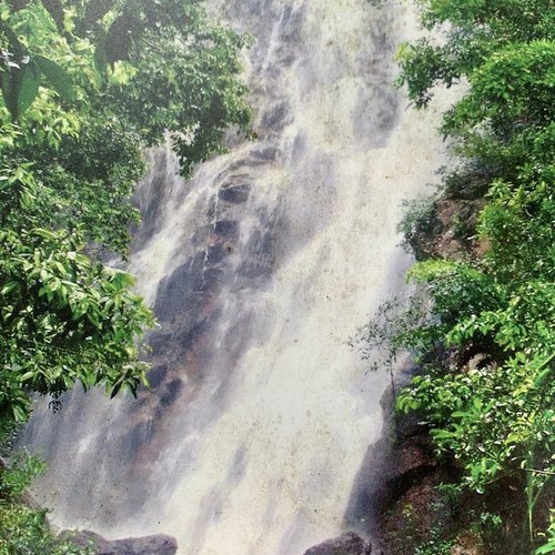 Thailand Namtok Phaeng Wasserfall Dom Sila Nature Trail Koh Phangan