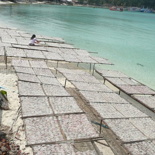 Getrocknete Fische Nam Plaa Fischsoße