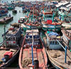 Bin An Mekongdelta Vietnam