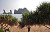 Bin An Mekongdelta Vietnam